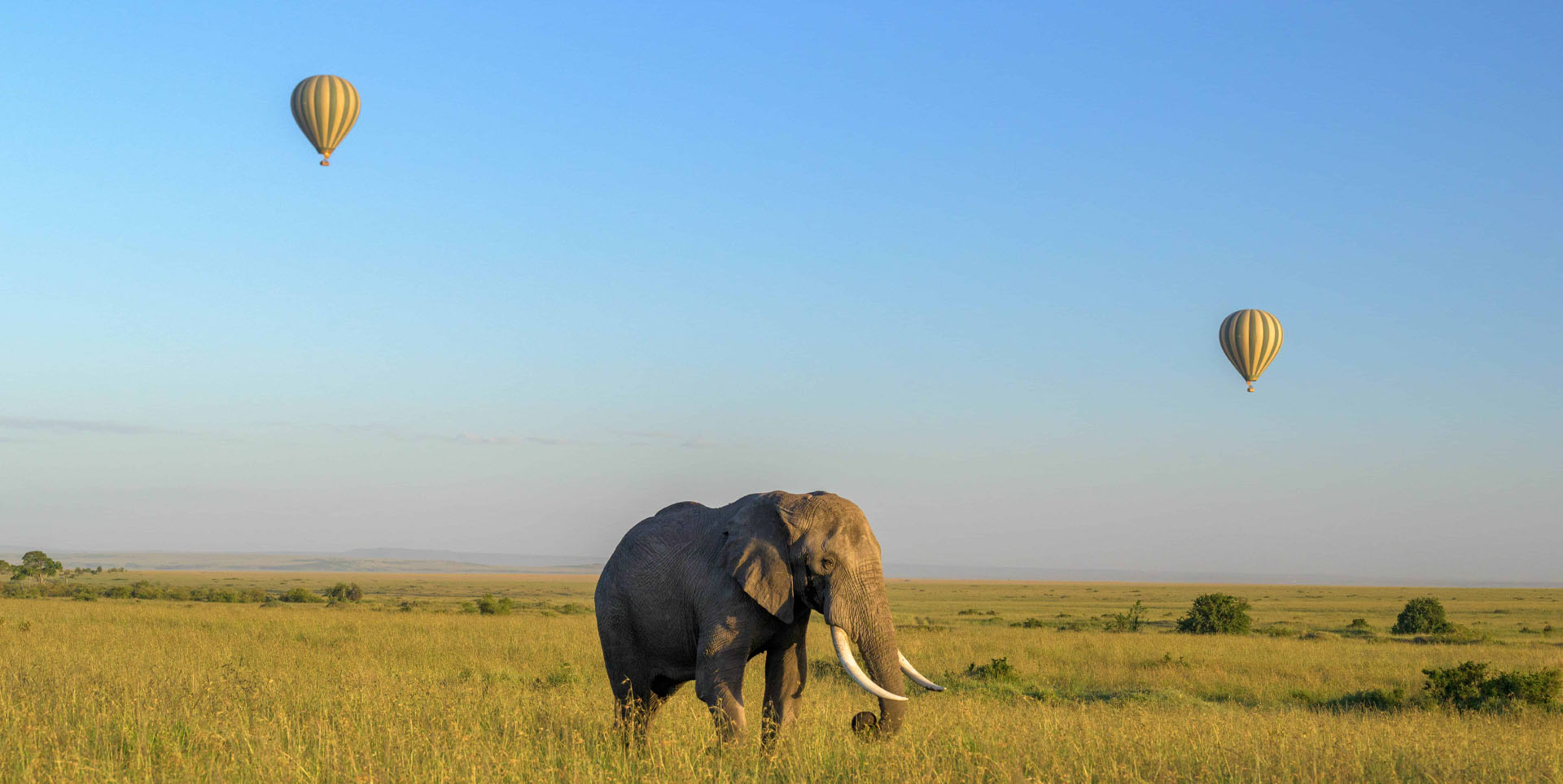 Kenya savannah landscape