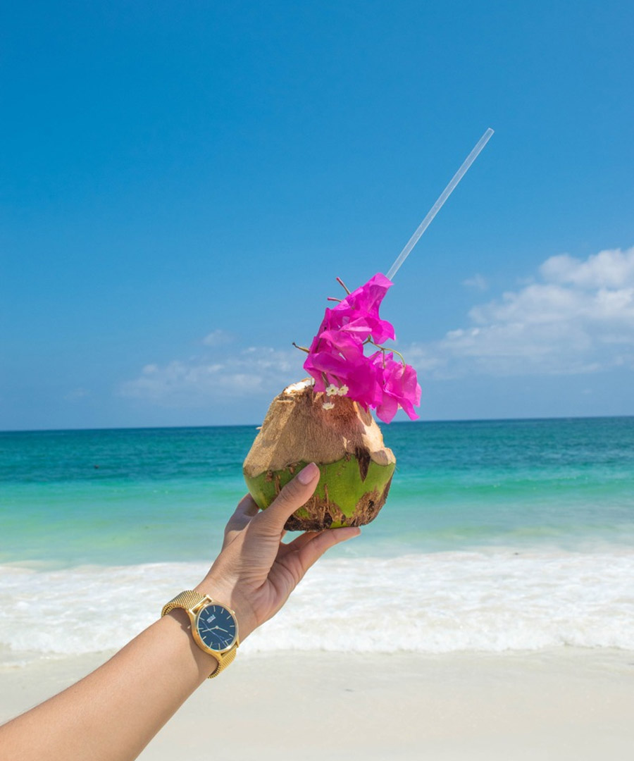 Mombasa & Kenya Coast landscape