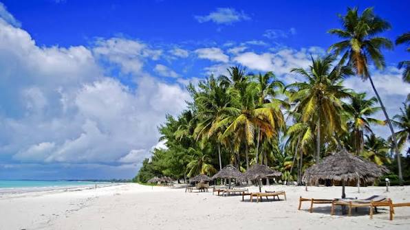 Kenya Coast · Thatched Umbrellas