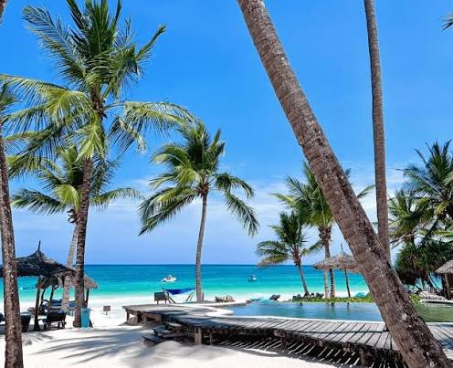 Diani Beach · Palms & Pool