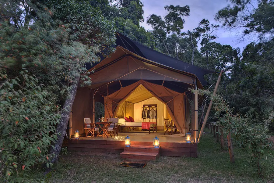 Tented Camp · Forest Setting