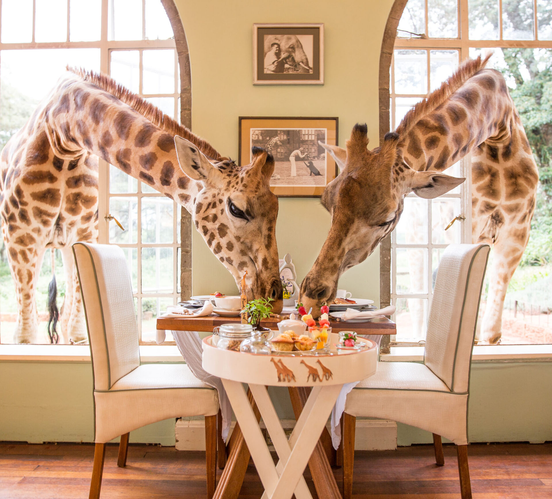 Giraffe Manor · Nairobi