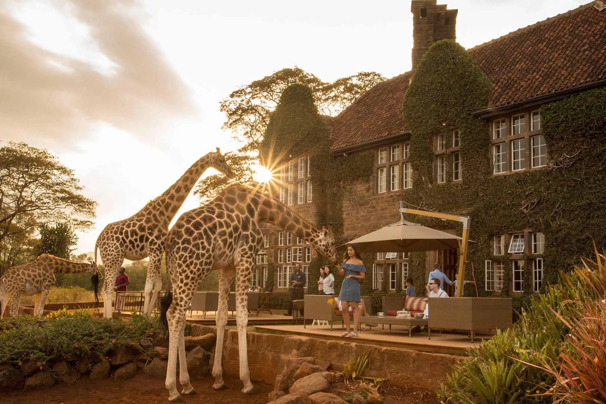 Giraffe Manor · Nairobi