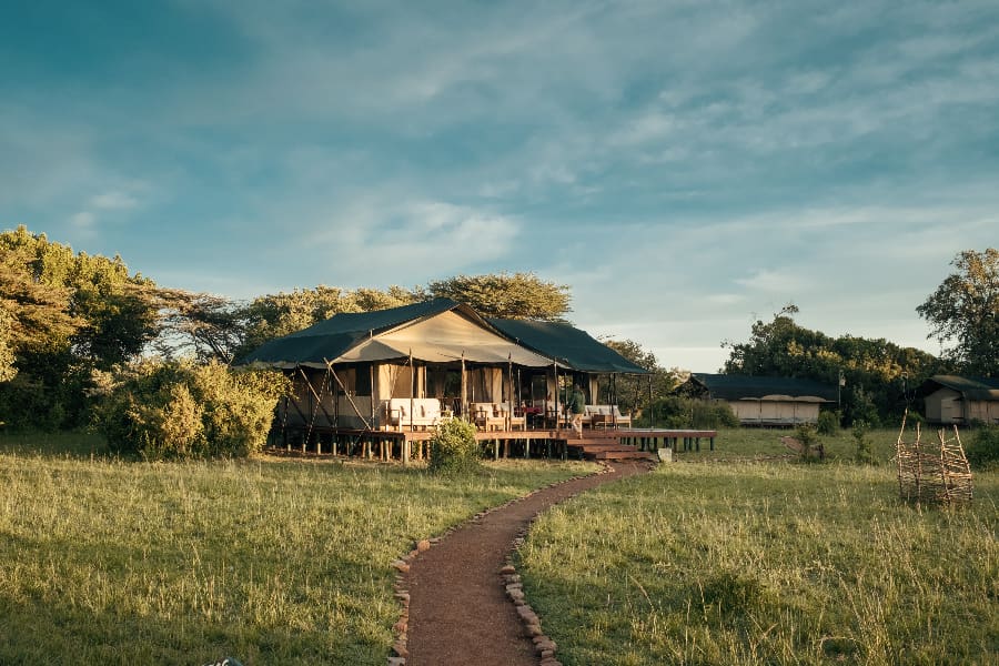Mara River & Big Cat Country