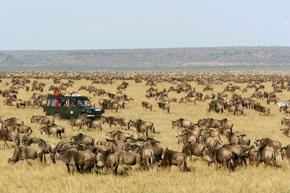 Great Migration · Maasai Mara
