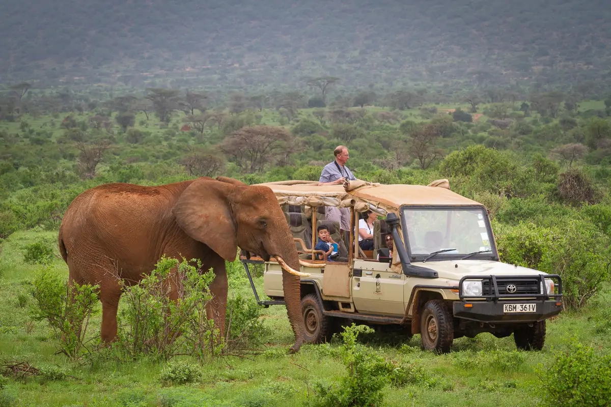 Red Elephant · Game Drive