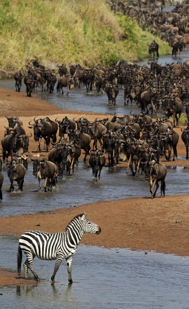 Great Migration