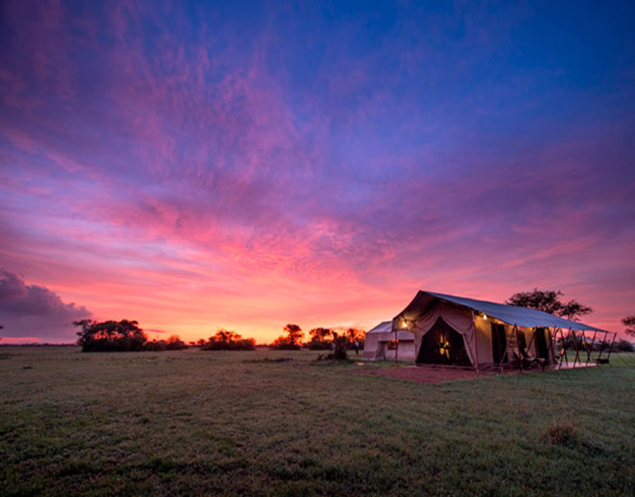 12 Days Lodge Safari Across Kenya and Tanzania