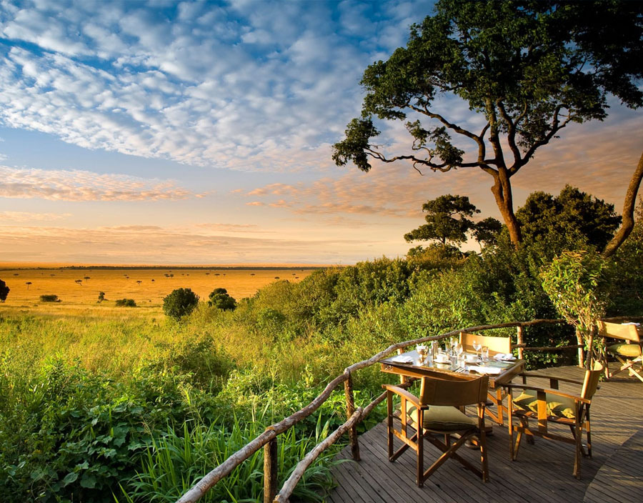 Build Your Own Camping Safari