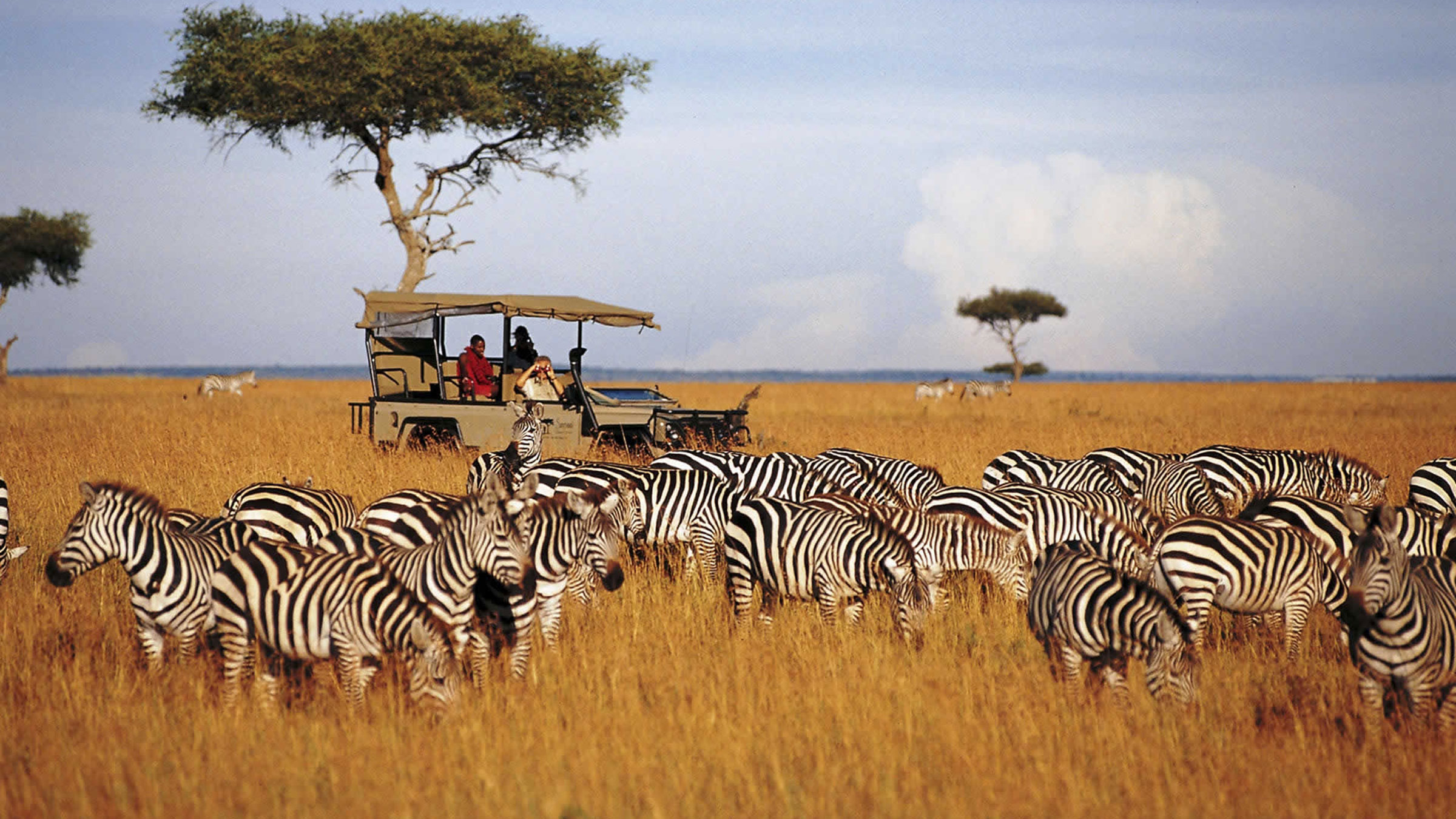 James & Patricia Nolan